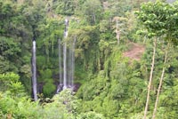 bali sekumpul waterfall